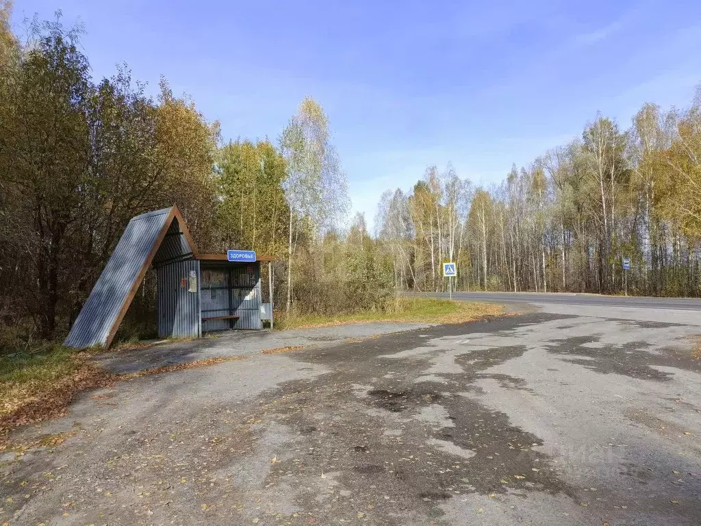 Участок в Тюменская область, Нижнетавдинский муниципальный округ, ... - Фото 1