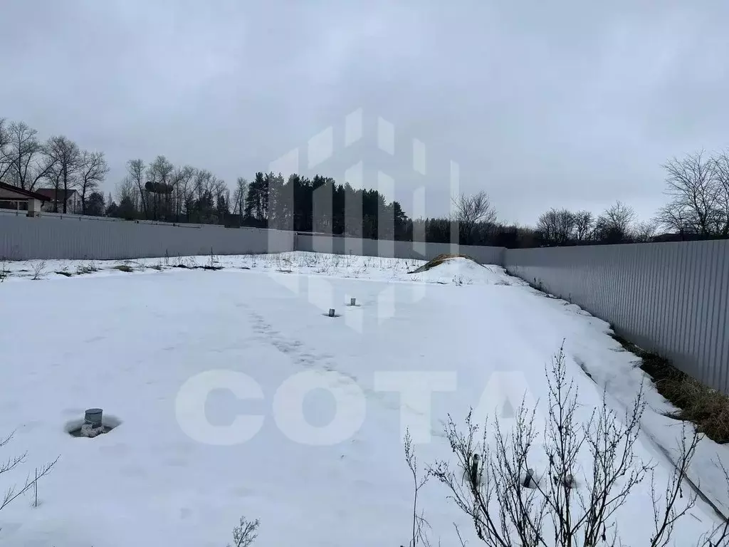 Участок в Воронежская область, Рамонский район, Новоживотинновское ... - Фото 1