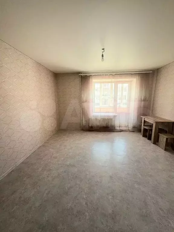 Квартира-студия, 23,6 м, 1/3 эт. - Фото 1