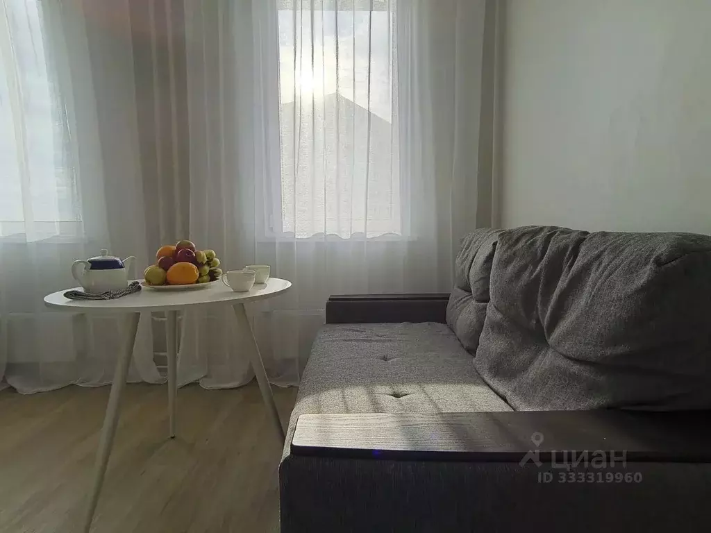 Студия Москва Березовая аллея, 19к3 (23.8 м) - Фото 2