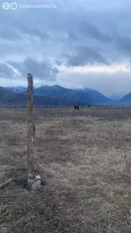 Участок в Усть-Коксинский район, село Тюнгур (12.5 м) - Фото 1