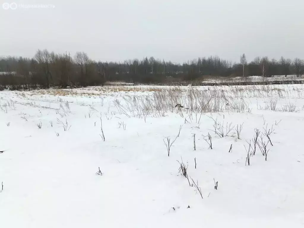 Участок в Ярославский район, Карабихское сельское поселение, деревня ... - Фото 0