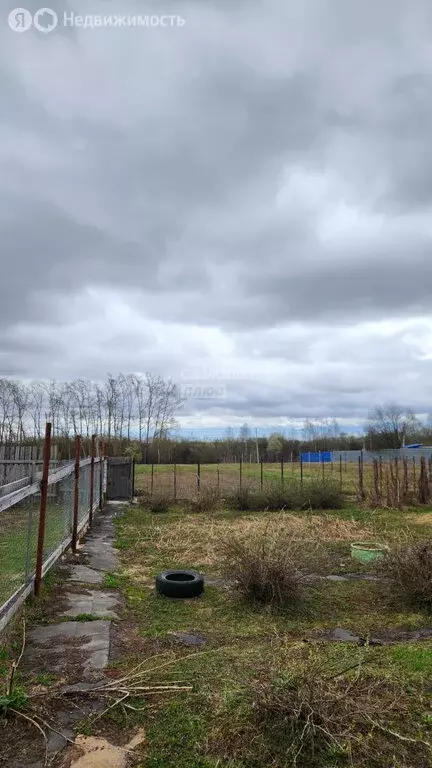 Участок в деревня Сокол, улица Героя Самохвалова, 59 (17 м) - Фото 0
