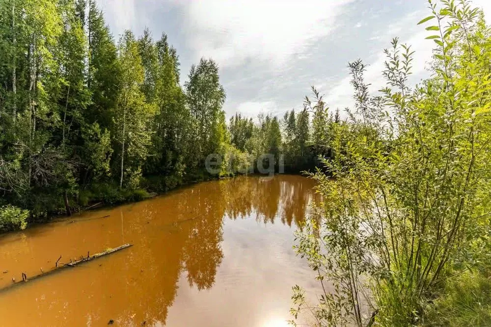 Участок в Ханты-Мансийский ао, Сургут Чернореченский садовое . - Фото 0