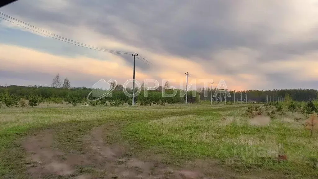 Участок в Тюменская область, Тюменский муниципальный округ, Каменское ... - Фото 2