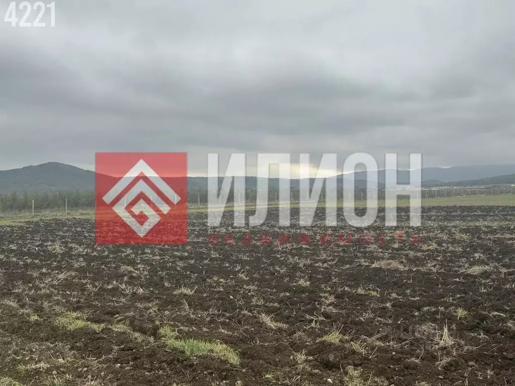 Участок в Крым, Белогорский район, с. Курское ул. Ленина (500.0 сот.) - Фото 2