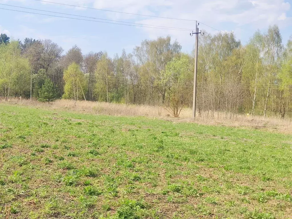 Участок в Тульская область, Ясногорский район, Иваньковское с/пос, д. ... - Фото 2