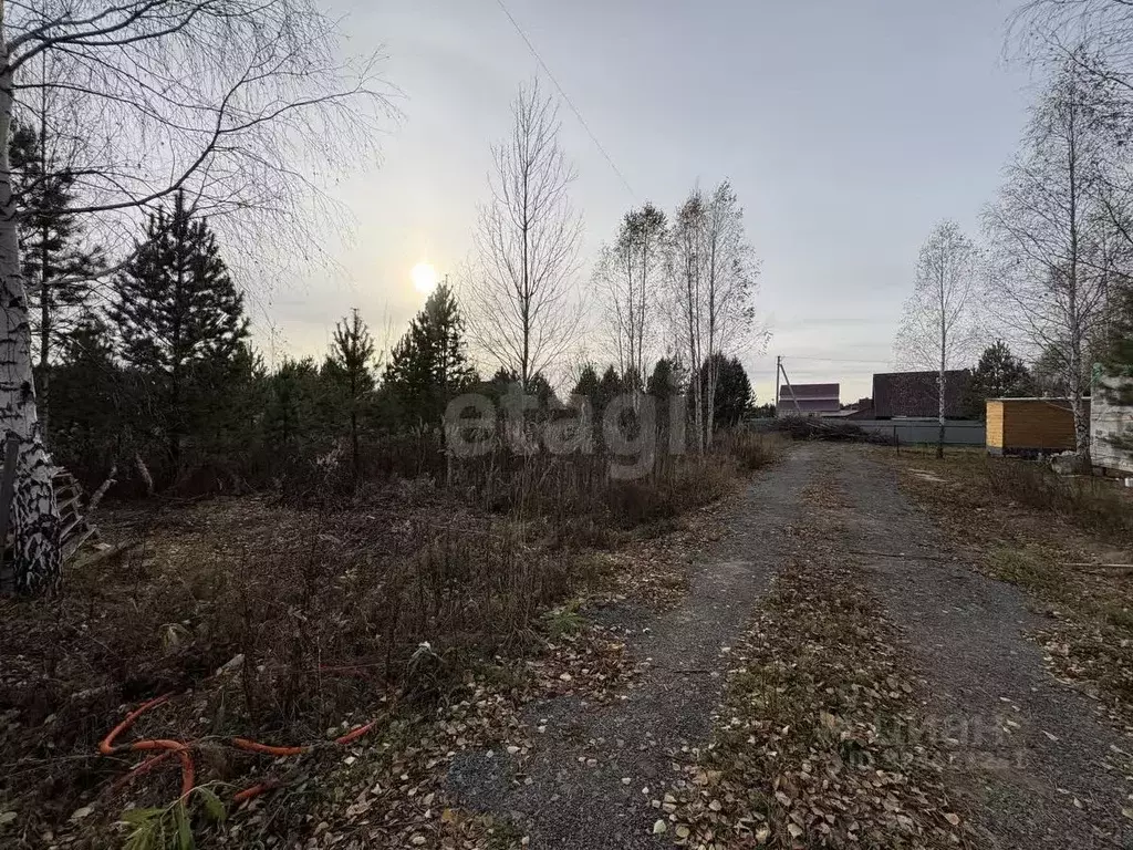 Участок в Тюменская область, Нижнетавдинский муниципальный округ, ... - Фото 2