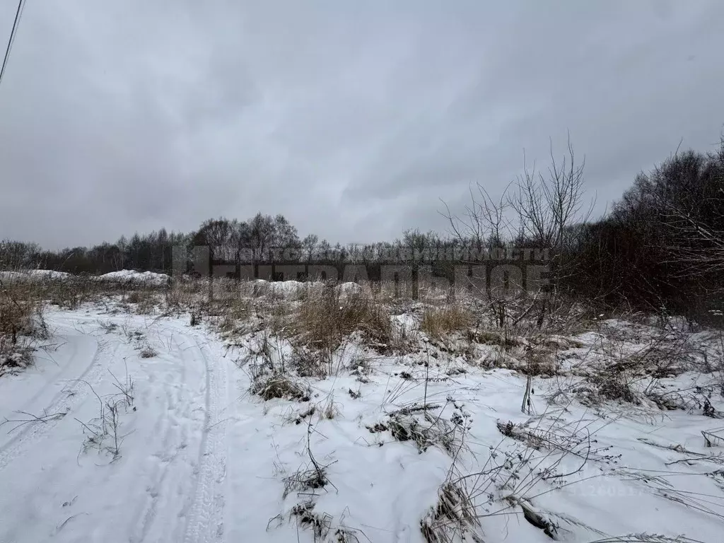 Участок в Смоленская область, Смоленский муниципальный округ, д. ... - Фото 2