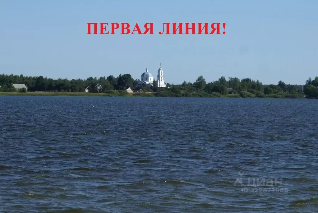 Участок в Тверская область, Пеновский муниципальный округ, д. Торг  ... - Фото 1