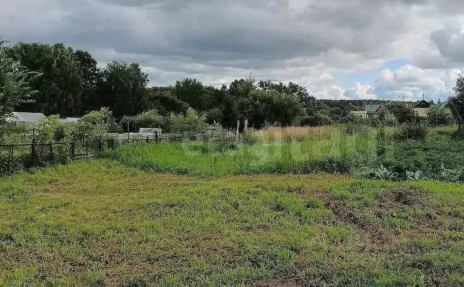 Участок в Новосибирская область, Новосибирский район, с. Барышево ул. ... - Фото 1