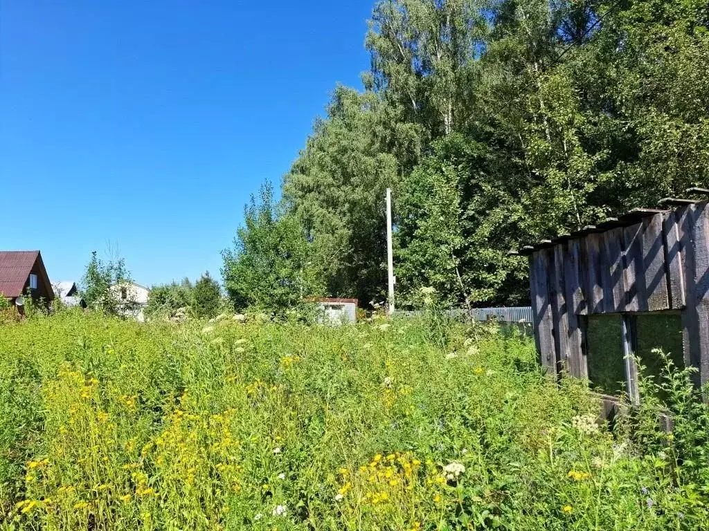 Участок в Владимирская область, Киржачский муниципальный округ, ... - Фото 2