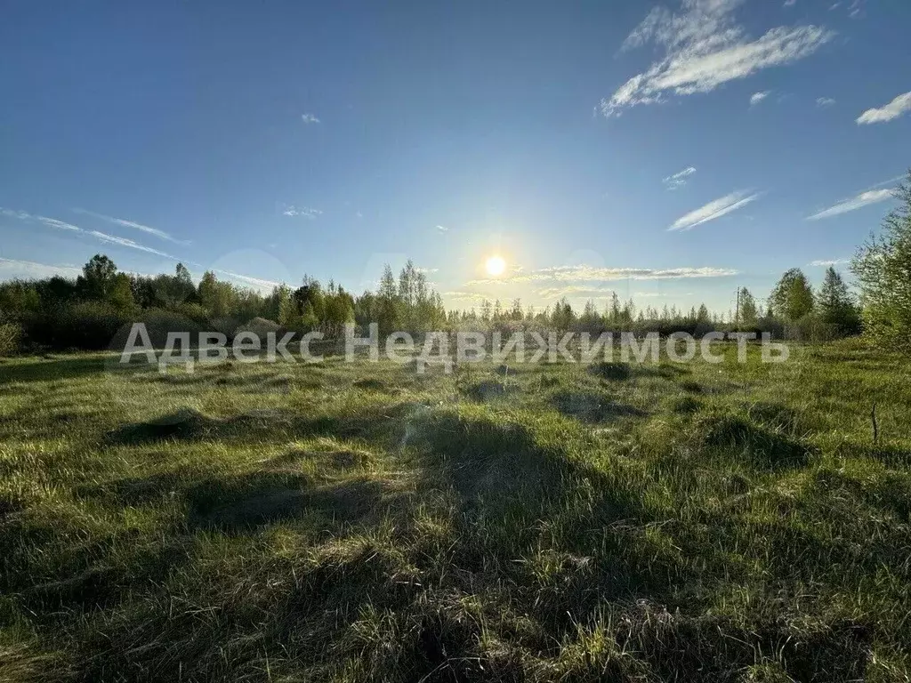 участок в тюменская область, тюменский район, с. каменка (6.51 сот.) - Фото 0