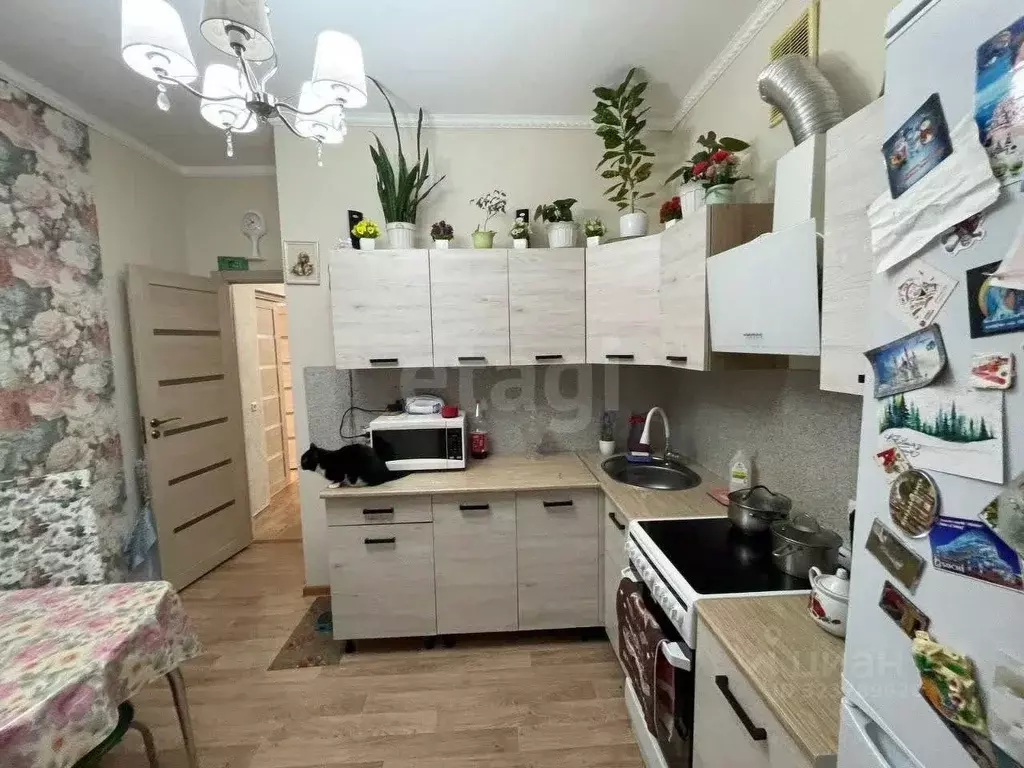 1-к кв. Ямало-Ненецкий АО, Муравленко ул. 70 лет Октября, 37 (37.4 м) - Фото 2