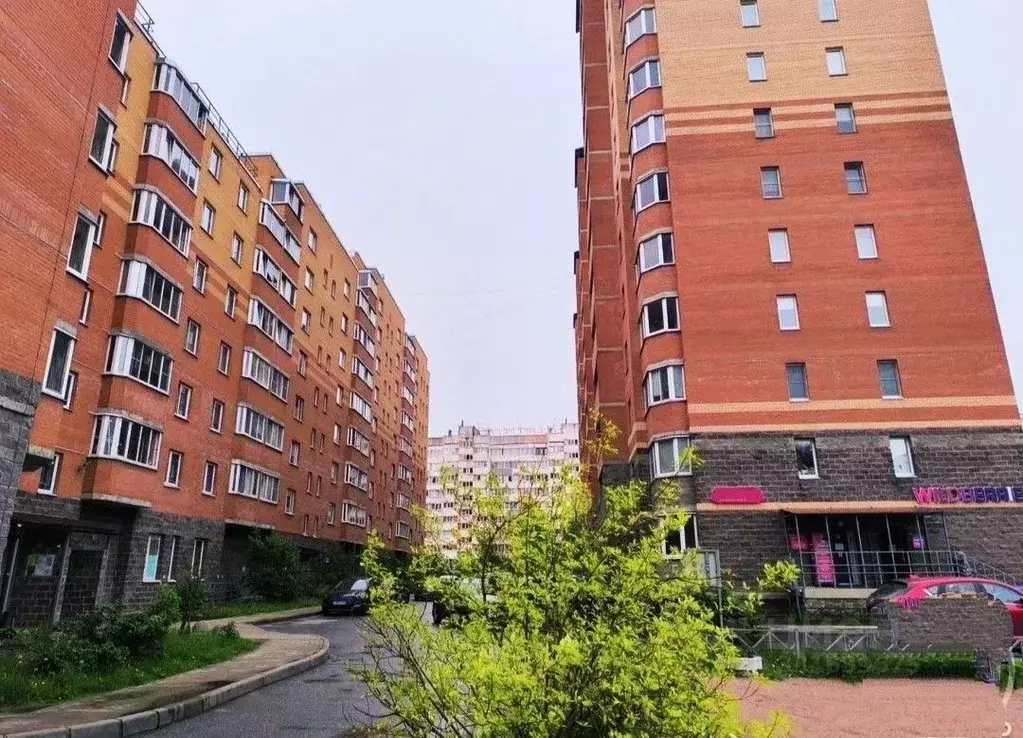 1-к кв. Ленинградская область, Сертолово Всеволожский район, ул. ... - Фото 1