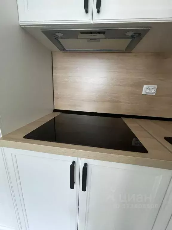 1-к кв. Ленинградская область, Ломоносовский район, Аннинское ... - Фото 1