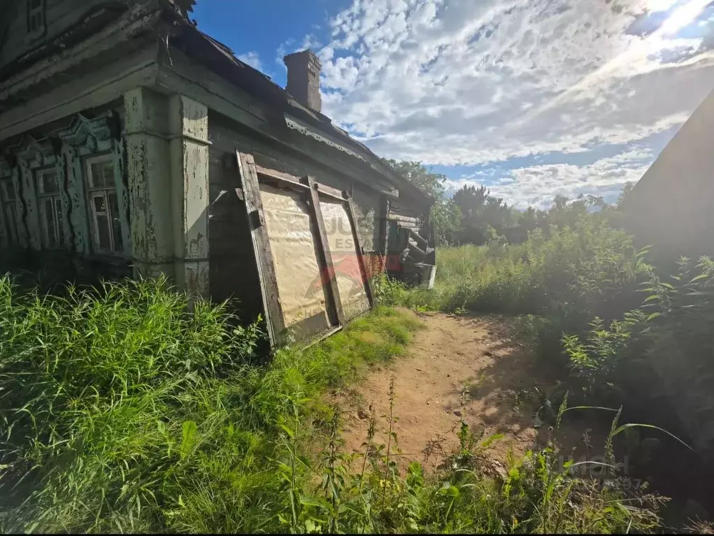 Участок в Московская область, Богородский городской округ, д. Белая ... - Фото 2