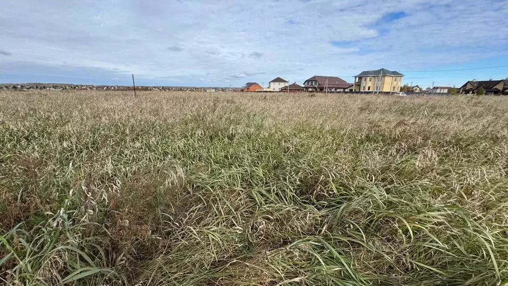 Участок в Омская область, Омский район, пос. Ростовка ул. 40 лет ... - Фото 2