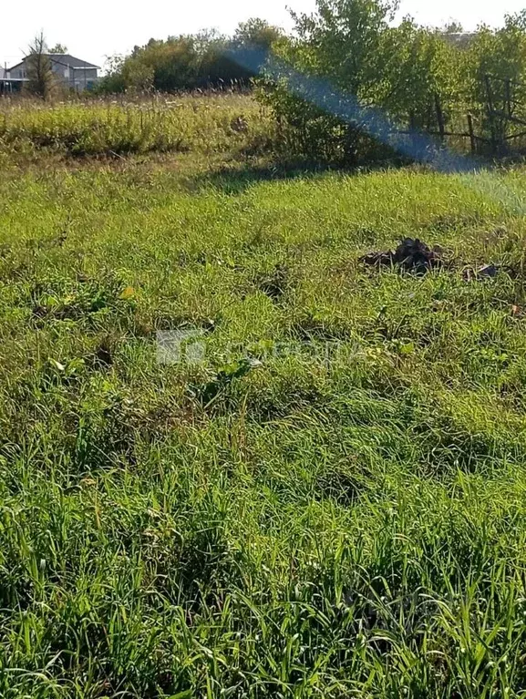 Участок в Новосибирская область, Коченевский район, Озерки-1 СНТ ул. ... - Фото 2