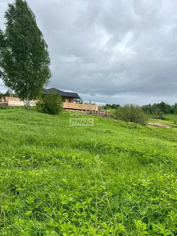 Участок в Вологодская область, д. Борилово ул. Изумрудная (30.0 сот.) - Фото 1