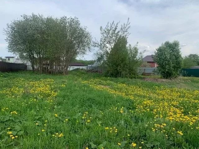 Участок в Московская область, Домодедово городской округ, д. Купчинино ... - Фото 1