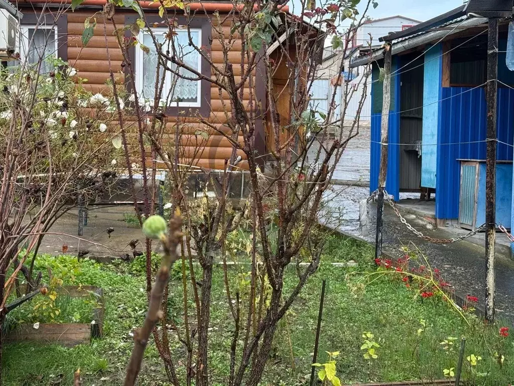 Дом в Краснодарский край, Туапсинский муниципальный округ, Джубга пгт ... - Фото 2