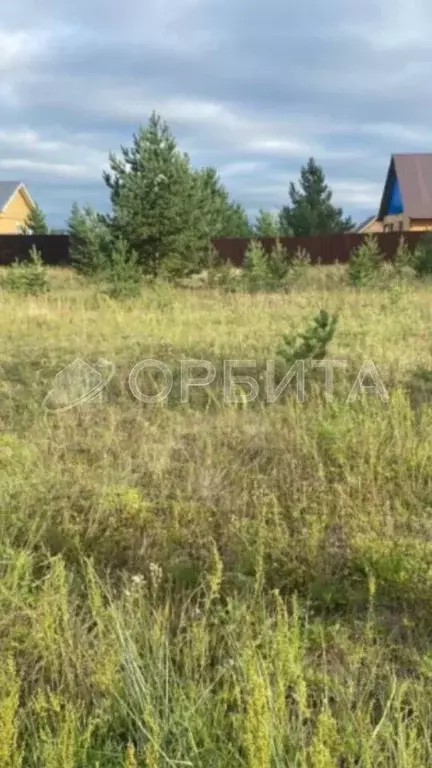 Участок в Тюменская область, Тюмень ул. Абалакская (10.0 сот.) - Фото 2