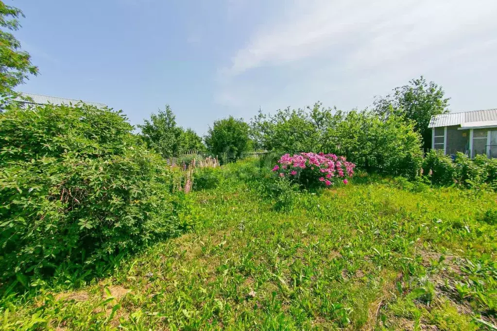 Дом в Томская область, Томск Левобережье СНТ,  (15 м) - Фото 0