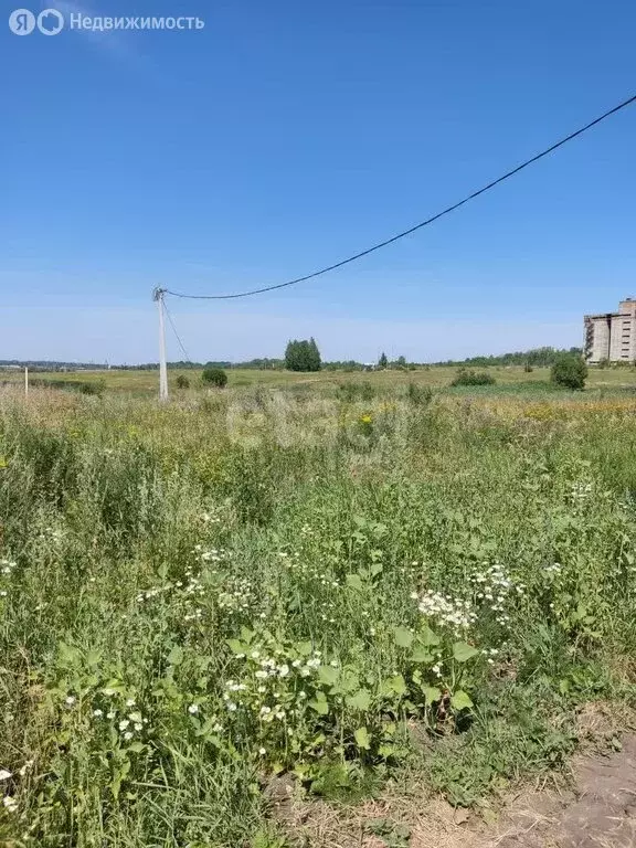 Участок в Пензенский район, Богословский сельсовет, село Богословка (8 ... - Фото 1