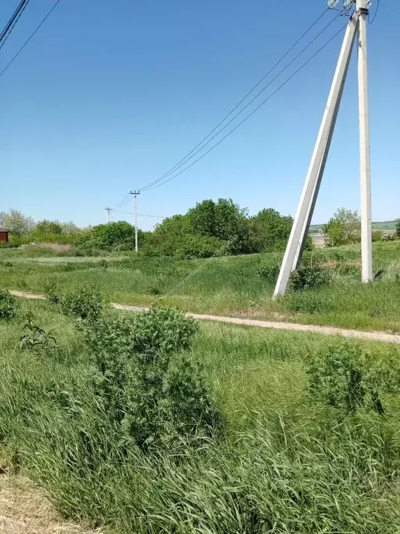 Участок в Ростовская область, Неклиновский район, с. Николаевка ул. ... - Фото 0