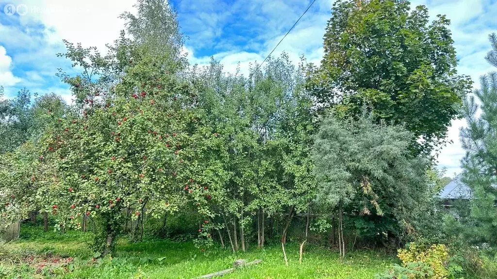 Участок в Хотьково, 1-я Хотьковская улица, 43А (13 м) - Фото 0