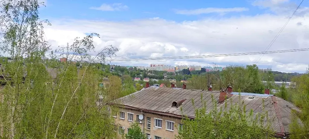 2-к кв. Смоленская область, Смоленск Ново-Краснофлотская ул., 15 (46.0 ... - Фото 1