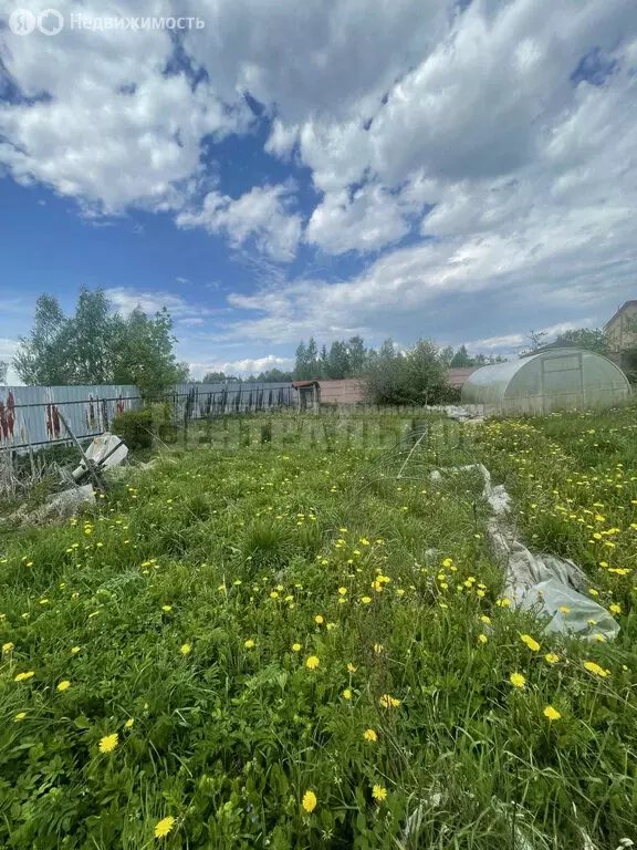 Участок в Смоленский муниципальный округ, деревня Станички (15 м) - Фото 1