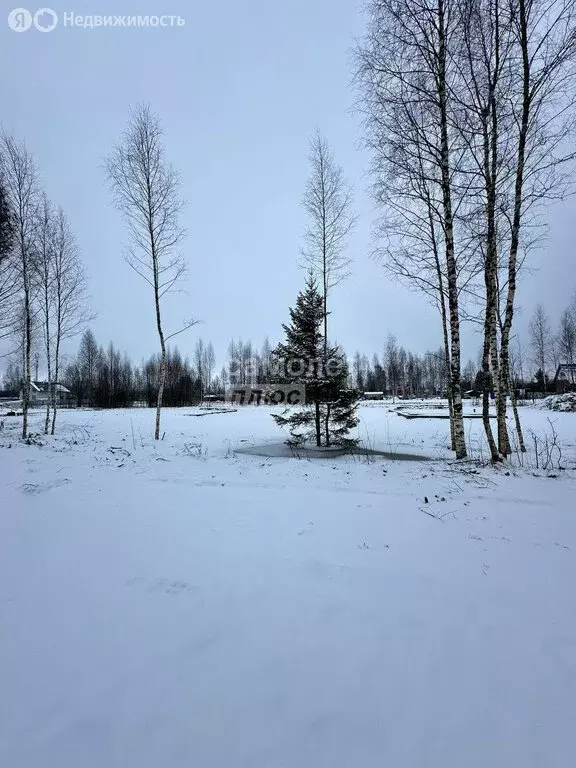 Участок в Череповецкий район, Ирдоматское сельское поселение, деревня ... - Фото 0