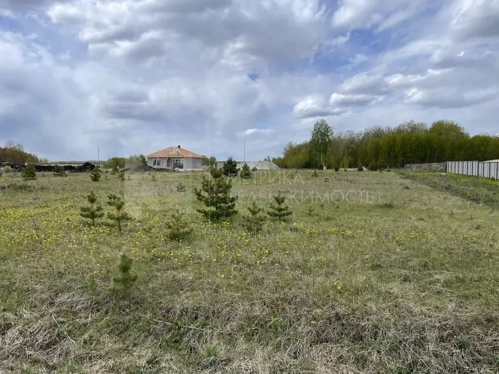 Участок в Тюменская область, Тюменский район, Онегин кп  (6.0 сот.) - Фото 1