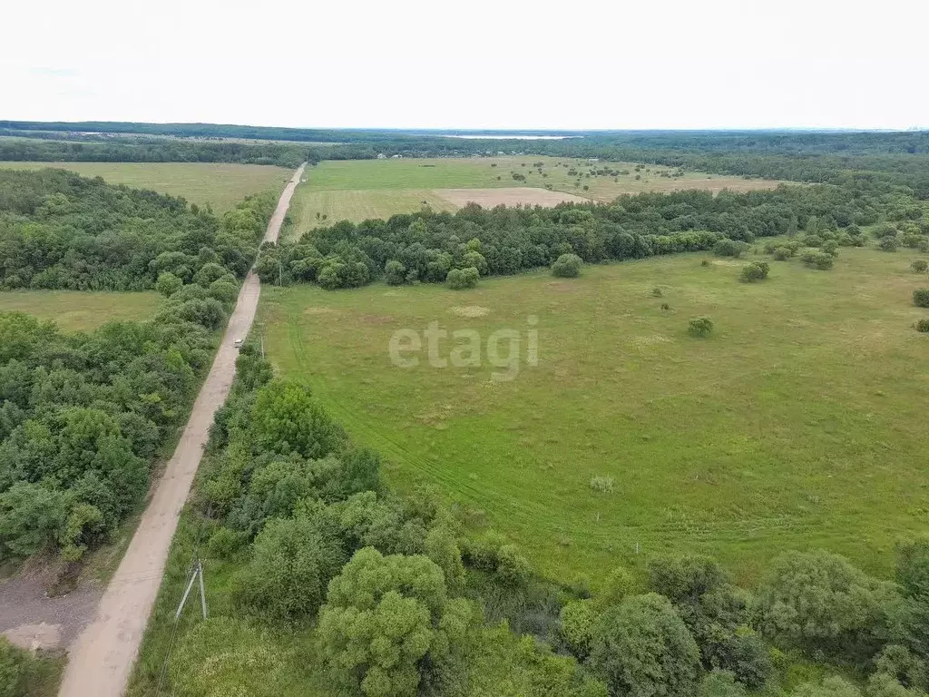 Участок в Хабаровский край, Хабаровский район, Осиновореченское с/пос, ... - Фото 2