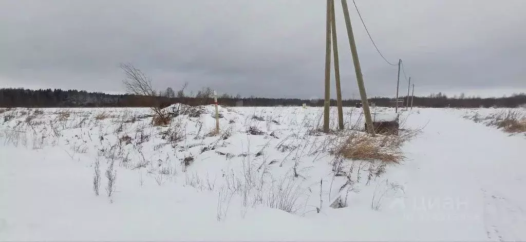Участок в Вологодская область, Шекснинский муниципальный округ, д. ... - Фото 1