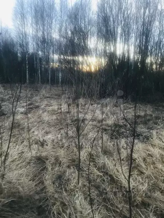 Участок в Вологодская область, Вологда Меркурий садоводческое ... - Фото 0