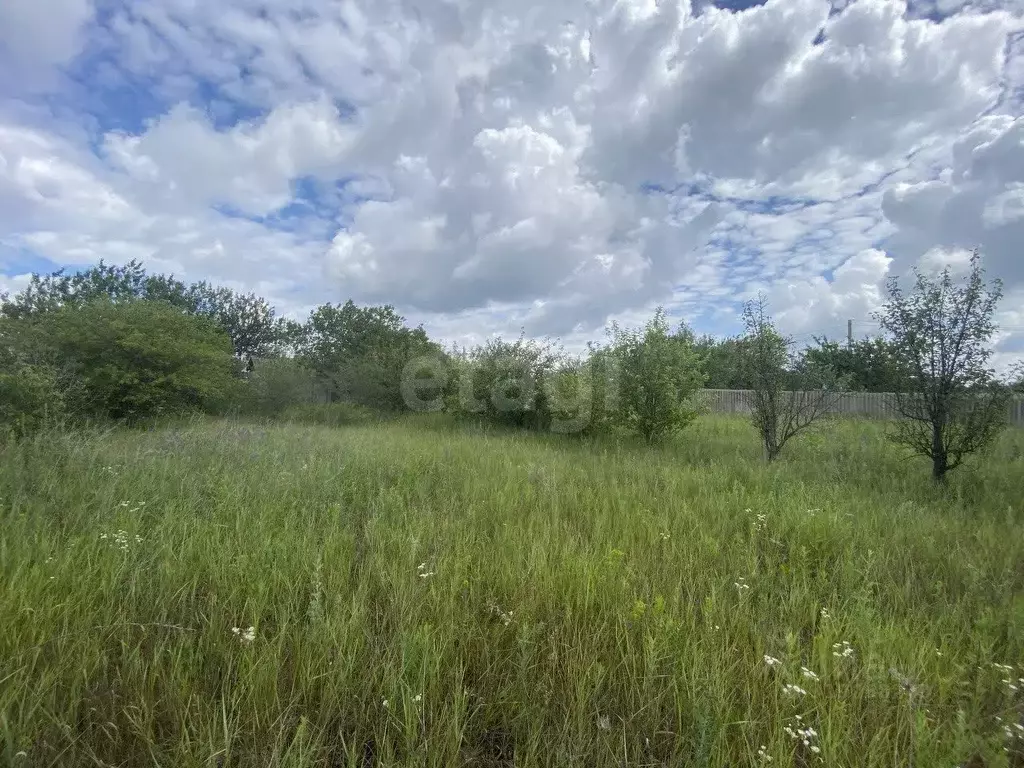 Участок в Белгородская область, Белгородский район, с. Стрелецкое, ... - Фото 1