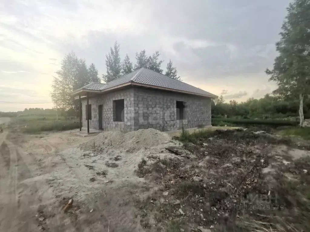 Участок в Тюменская область, Тюмень Ясень садовое товарищество, ул. ... - Фото 1