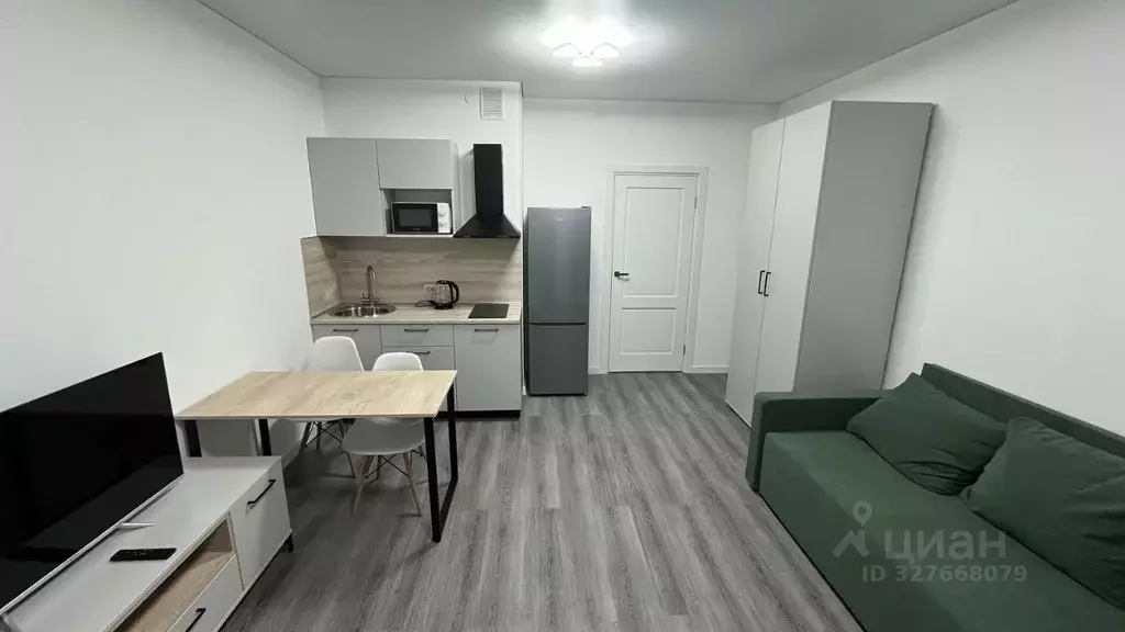 Студия Санкт-Петербург Дальневосточный просп., 23 (25.9 м) - Фото 2