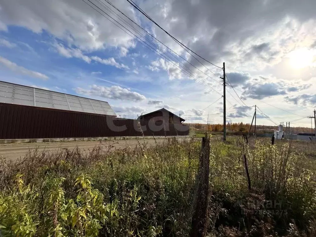 Участок в Челябинская область, Сосновский муниципальный округ, пос. ... - Фото 2