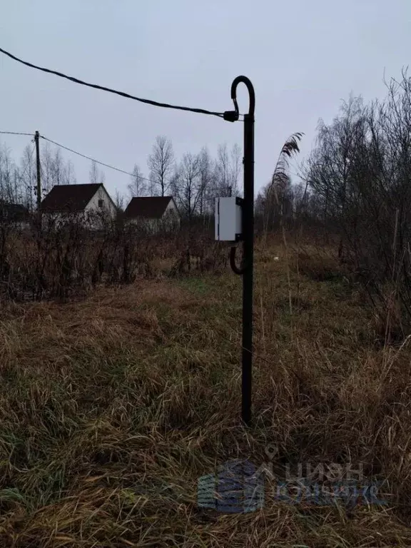 Участок в Ленинградская область, Гатчинский муниципальный округ, пос. ... - Фото 2