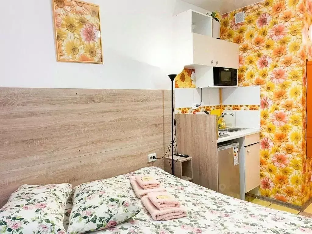 1-к кв. Санкт-Петербург Загородный просп., 9 (12.0 м) - Фото 1