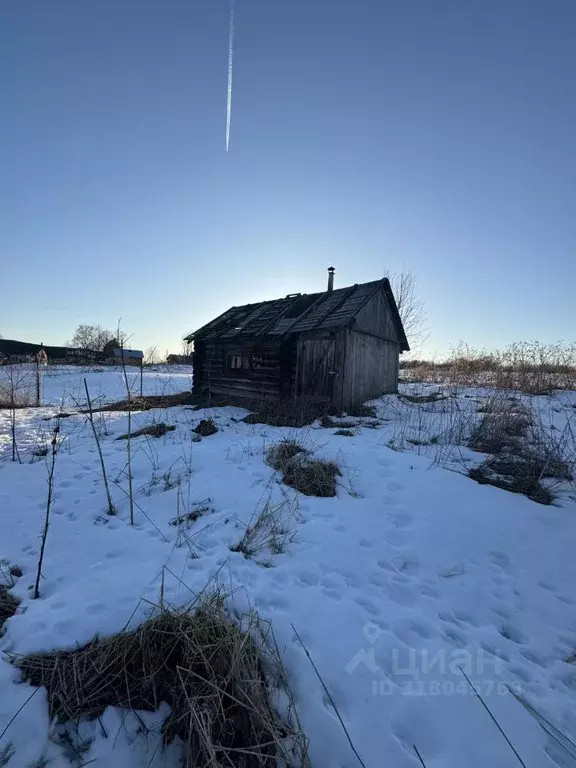 Участок в Вологодская область, Вытегорский район, с. Ошта ул. ... - Фото 2