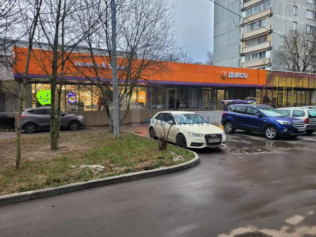 Помещение свободного назначения (254 м) - Фото 2