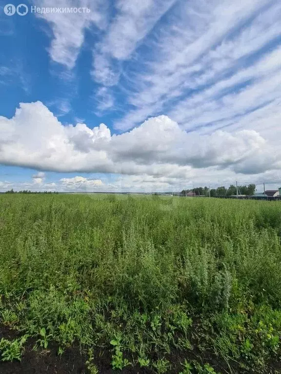 Участок в Лямбирский район, село Берсеневка (9.66 м) - Фото 1