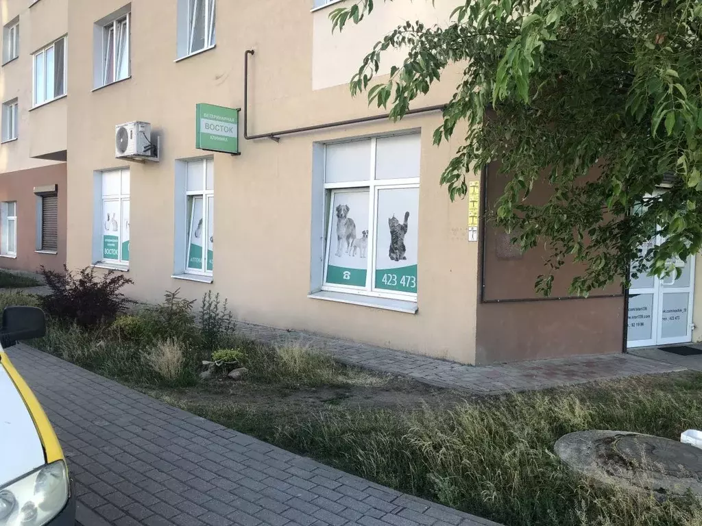 Торговая площадь в Калининградская область, Калининград ул. Виктора ... - Фото 0