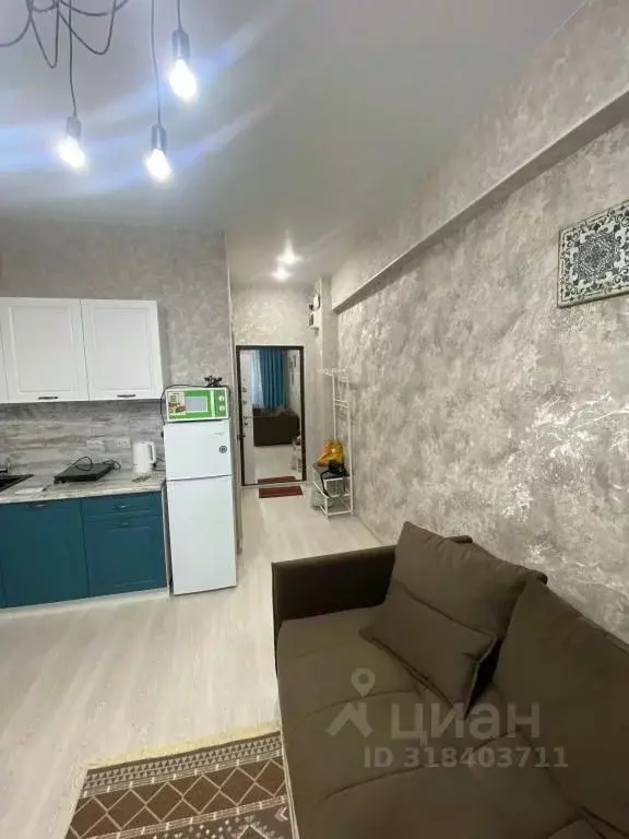 1-к кв. Приморский край, Владивосток Партизанский просп., 12А (17.0 м) - Фото 1