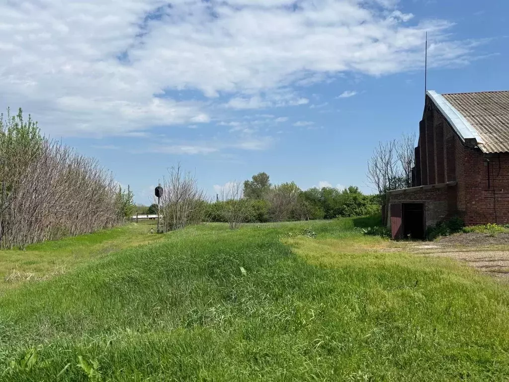 Производственное помещение в Краснодарский край, Кавказский район, ... - Фото 1